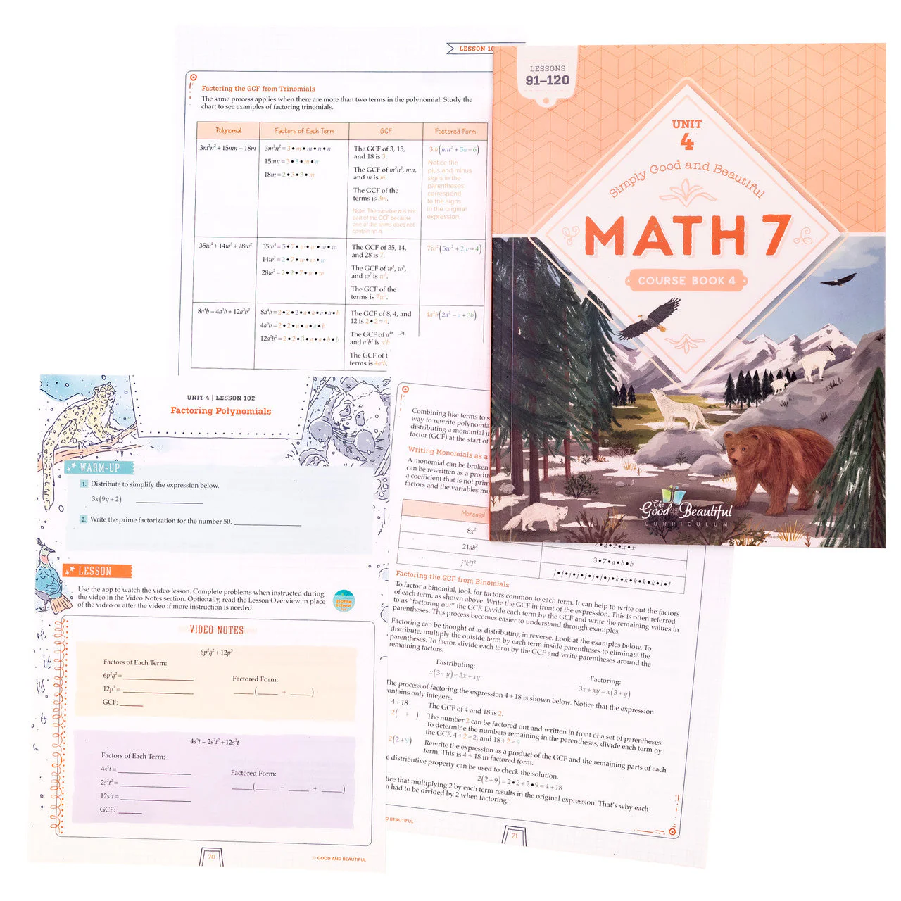 Math 7: Course Set - Image 6
