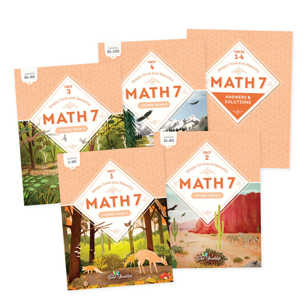 Math 7: Course Set - Image 7