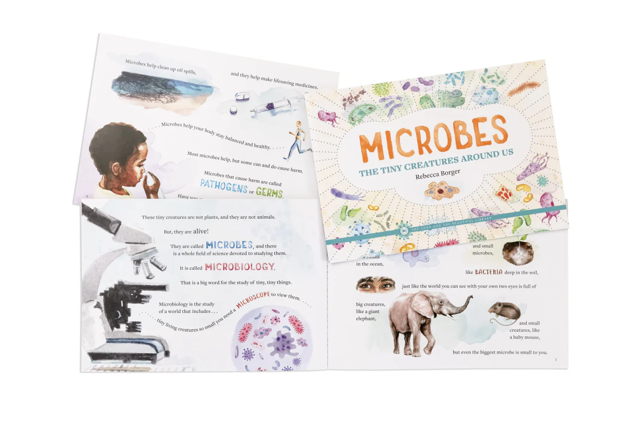 Microbes—The Tiny Creatures Around Us: by Rebecca Borger - Image 3