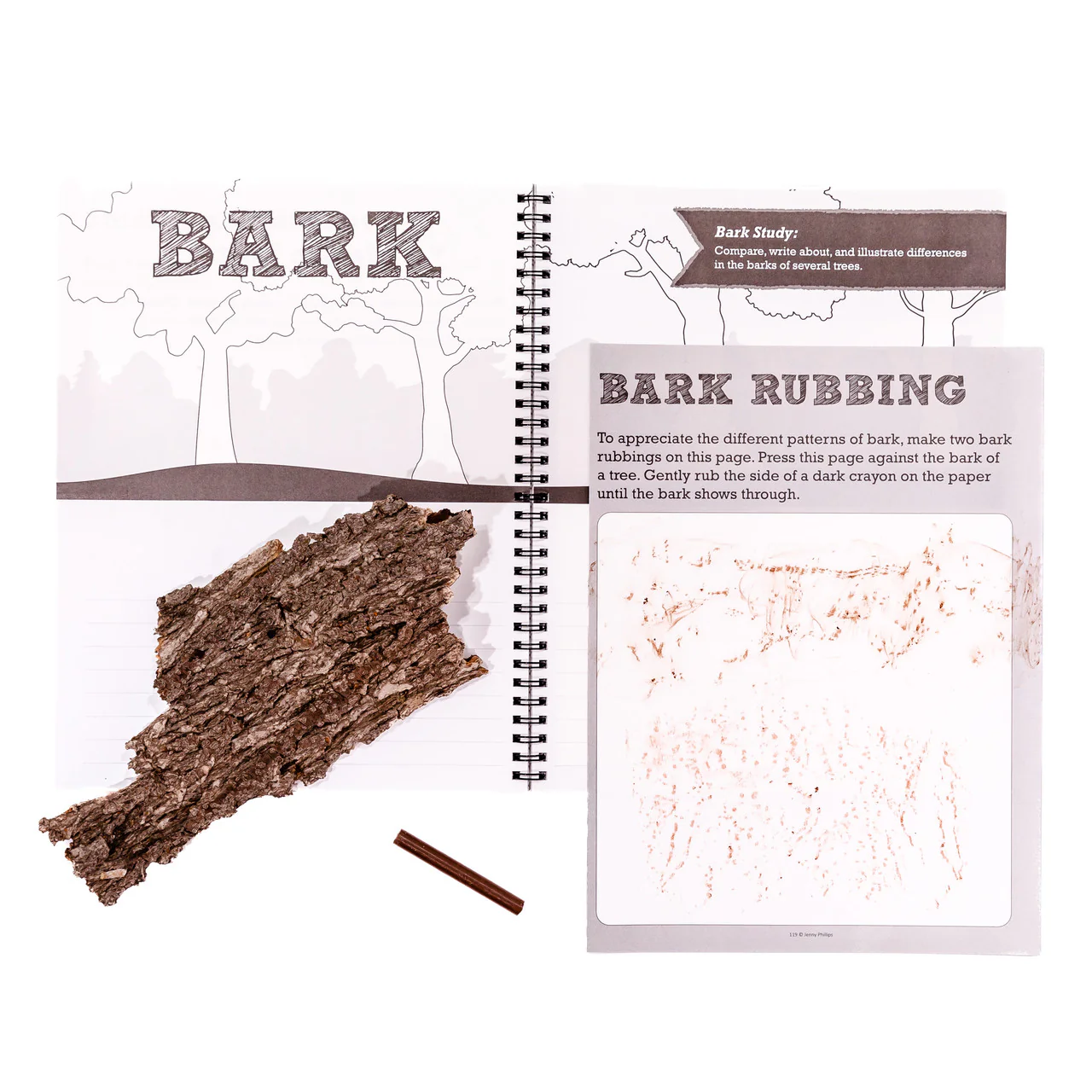 Nature Notebook - Image 4