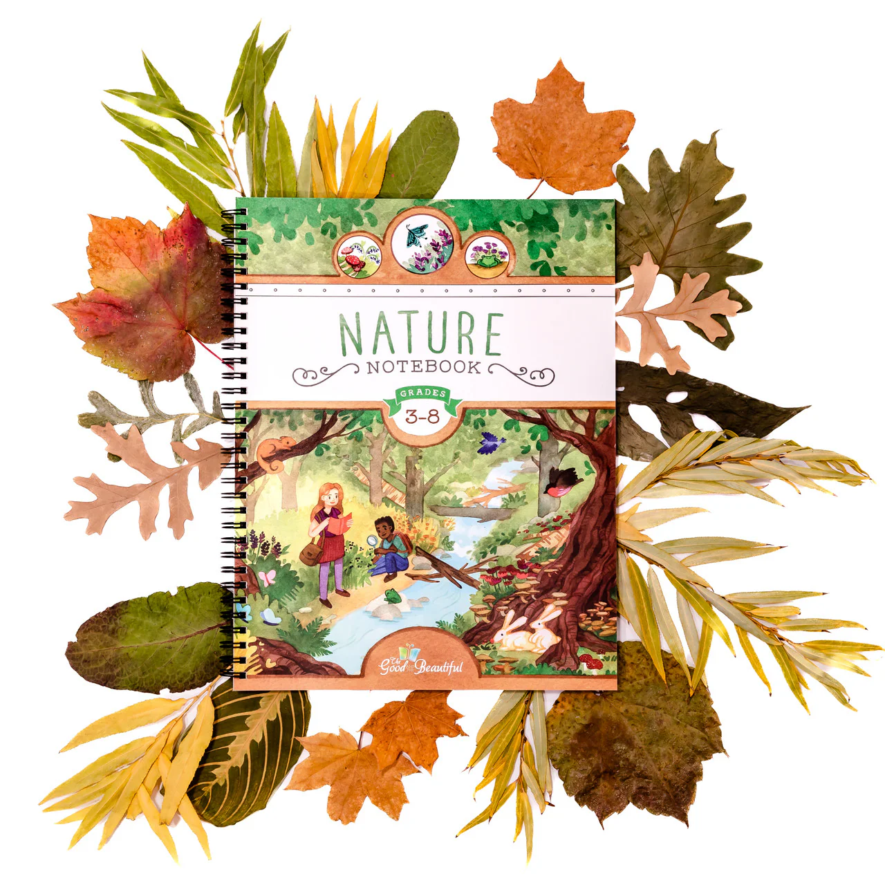 Nature Notebook - Image 5