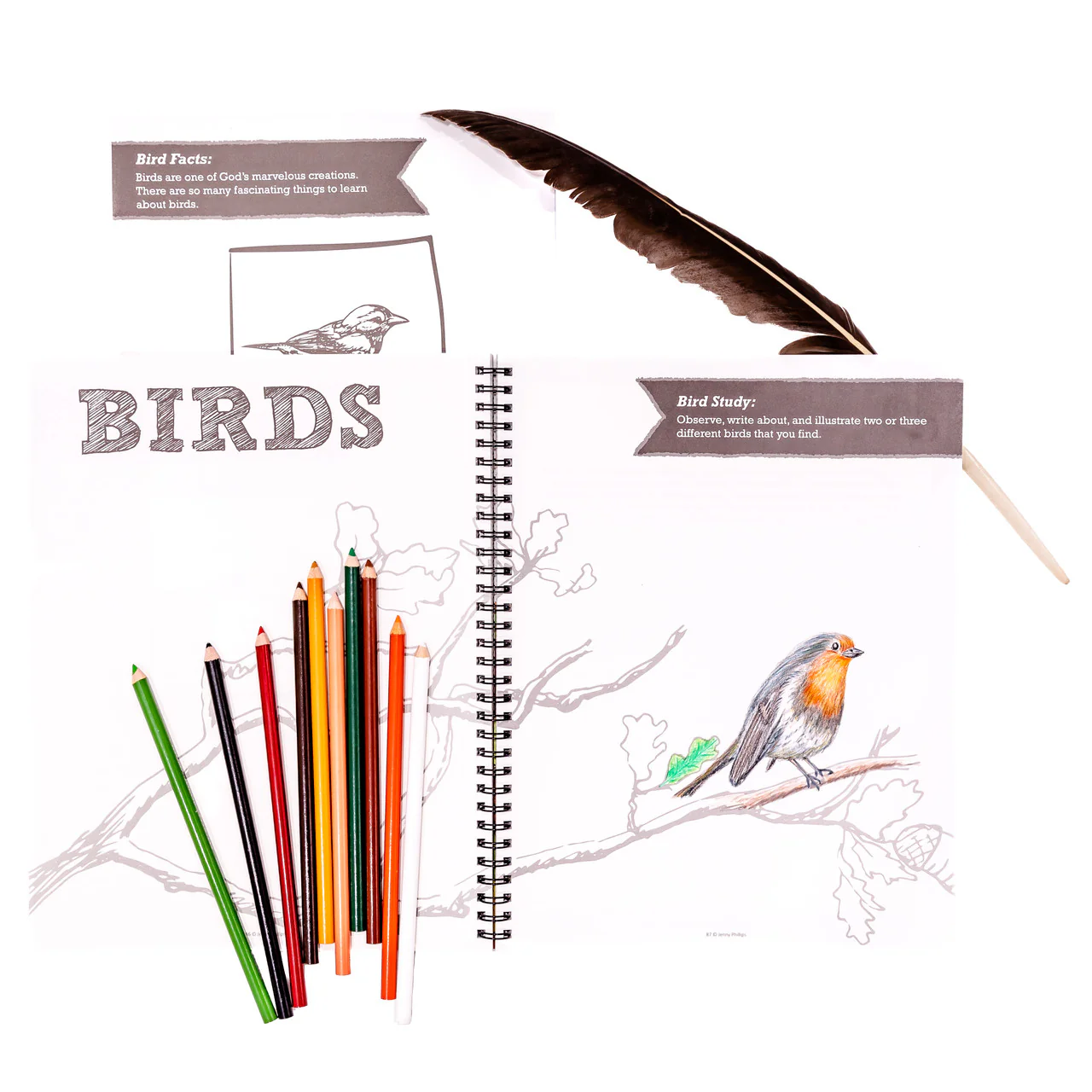 Nature Notebook - Image 6