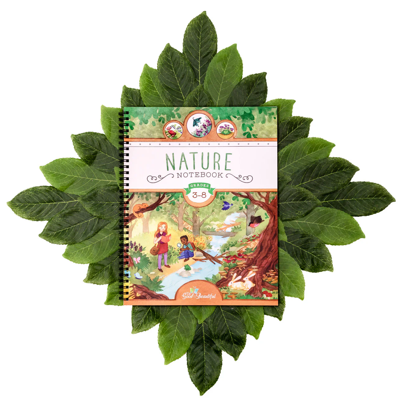 Nature Notebook - Image 7