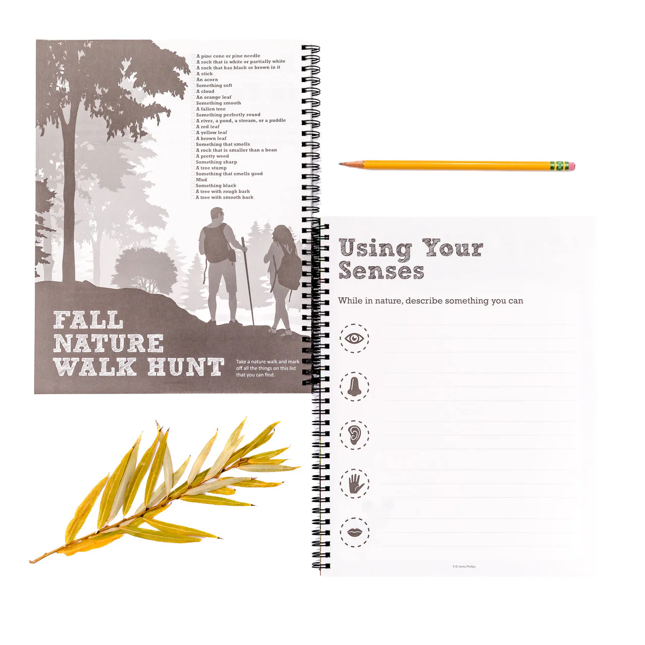 Nature Notebook - Image 8