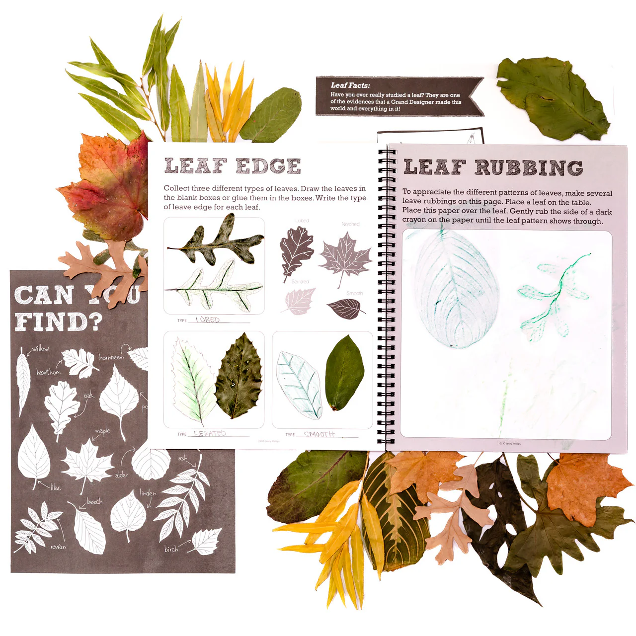 Nature Notebook - Image 9
