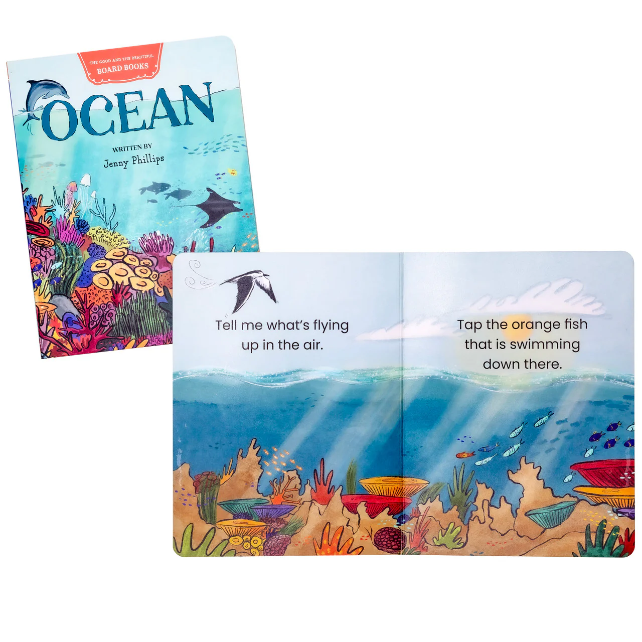 Ocean Board Book: by Jenny Phillips - Image 2