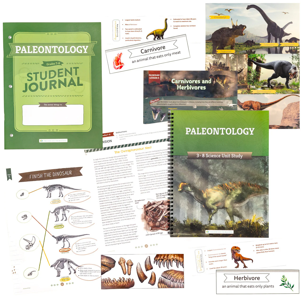 Paleontology: Course Book: One Per Family - Image 2