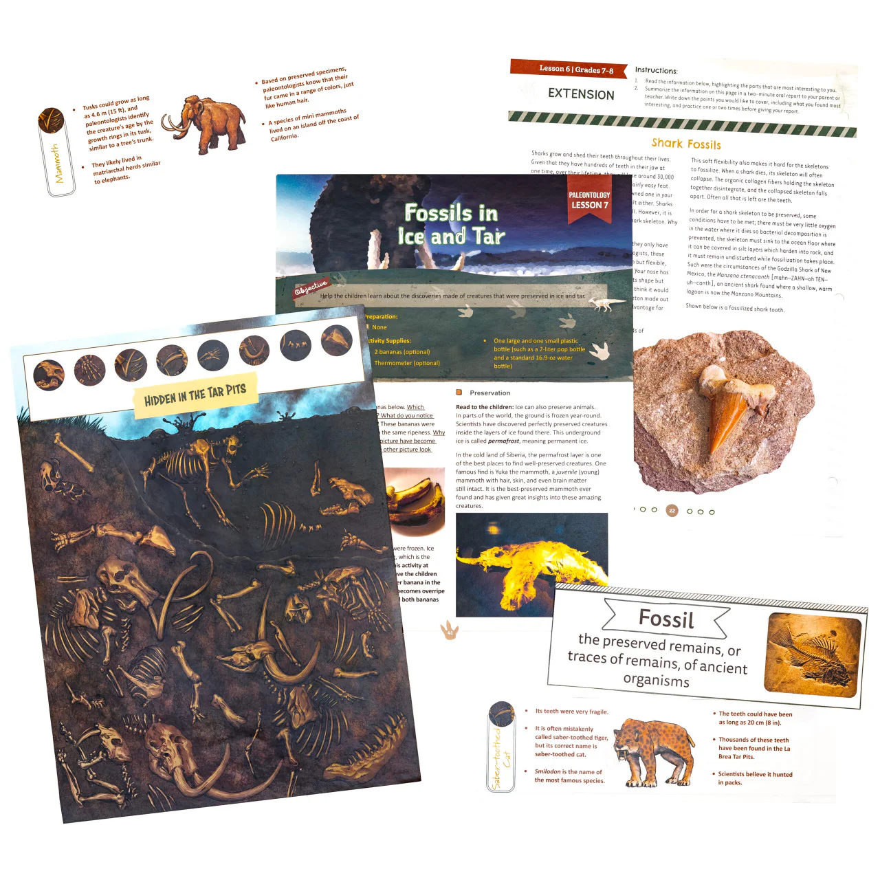 Paleontology: Course Book: One Per Family - Image 3
