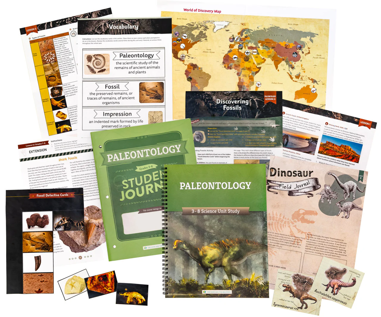 Paleontology: Course Book: One Per Family - Image 6
