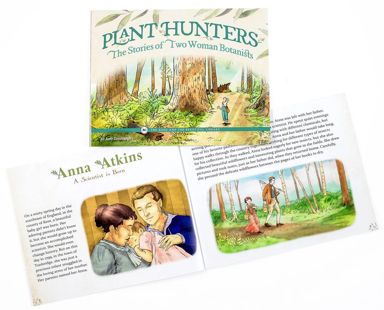 Plant Hunters—The Stories of Two Woman Botanists: by Amy Drorbaugh - Image 3