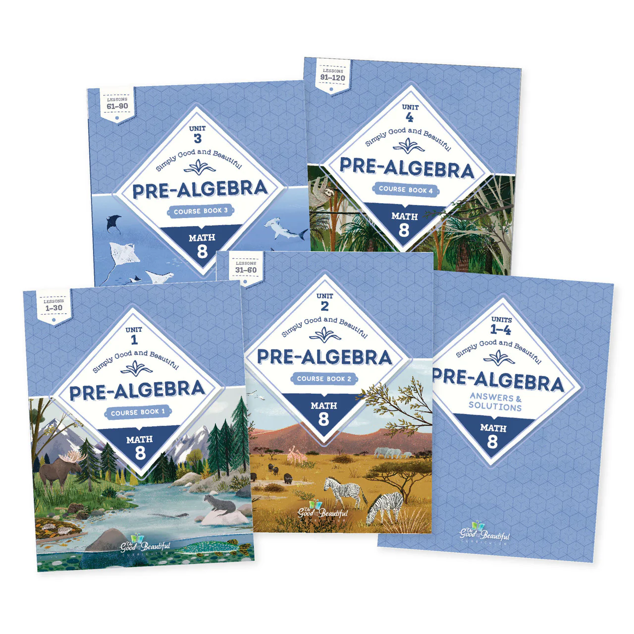 Pre-Algebra | Math 8: Course Set - Image 6