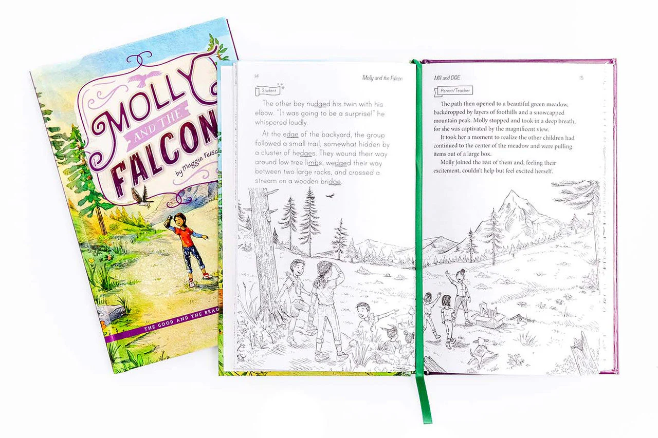 Reading Booster C Set - Image 6