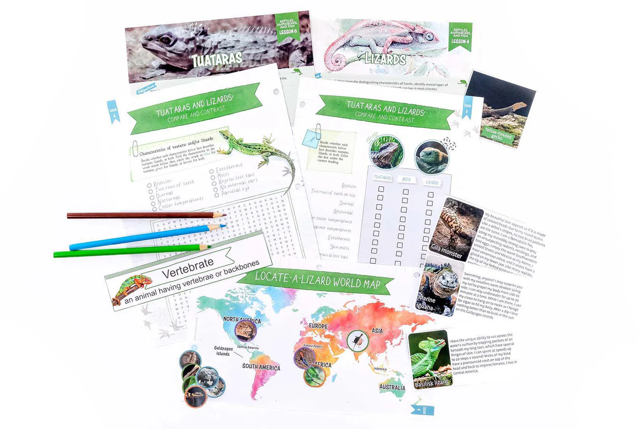 Reptiles, Amphibians, and Fish: Course Book: One Per Family - Image 4