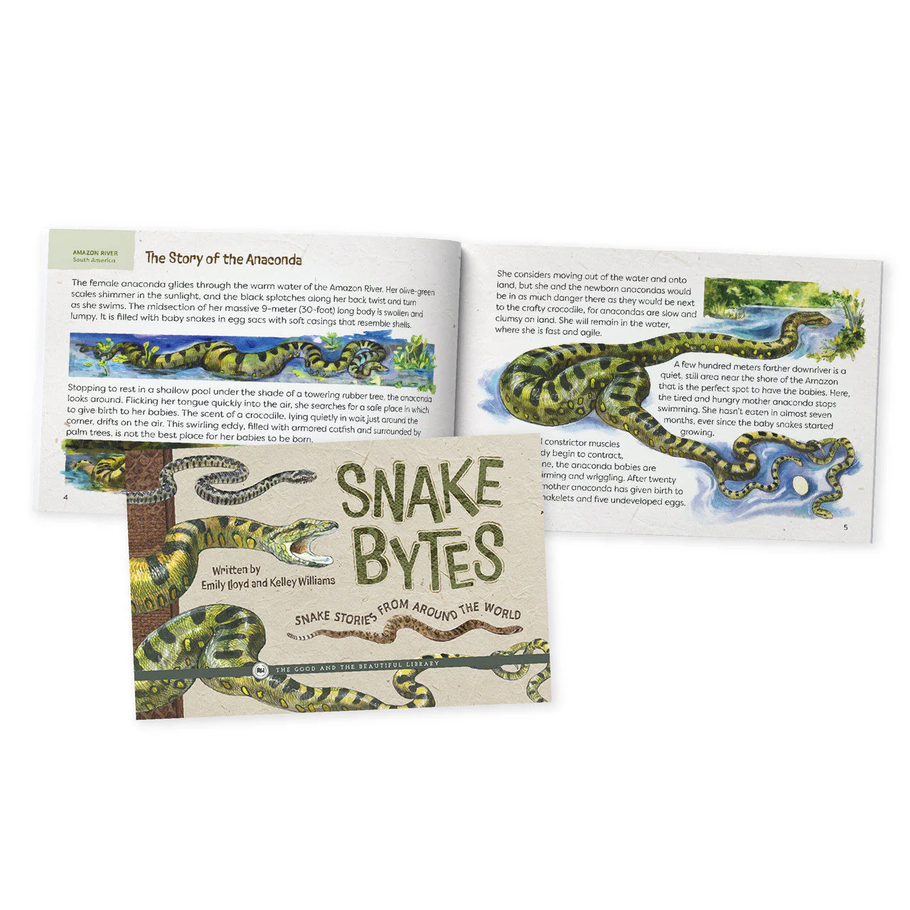 Reptiles, Amphibians, and Fish Read-Aloud Book Pack - Image 3