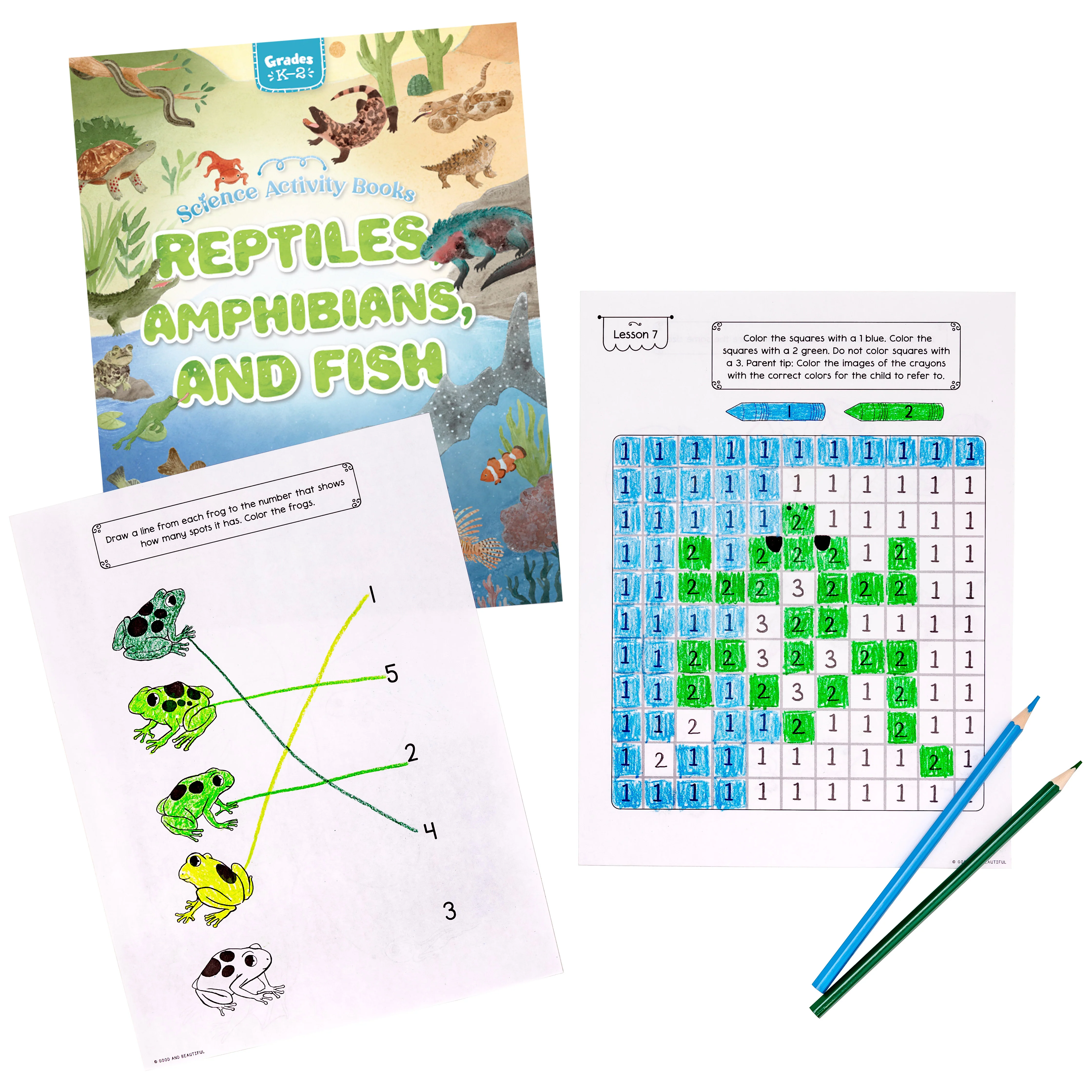 Reptiles, Amphibians, and Fish: Science Activity Book - Image 3