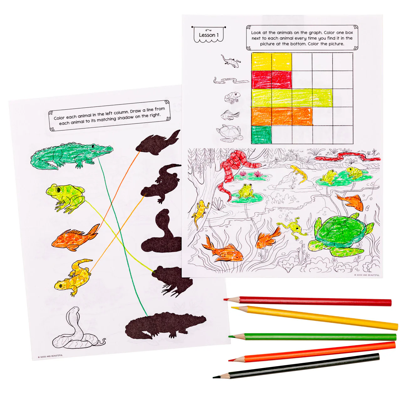 Reptiles, Amphibians, and Fish: Science Activity Book - Image 4