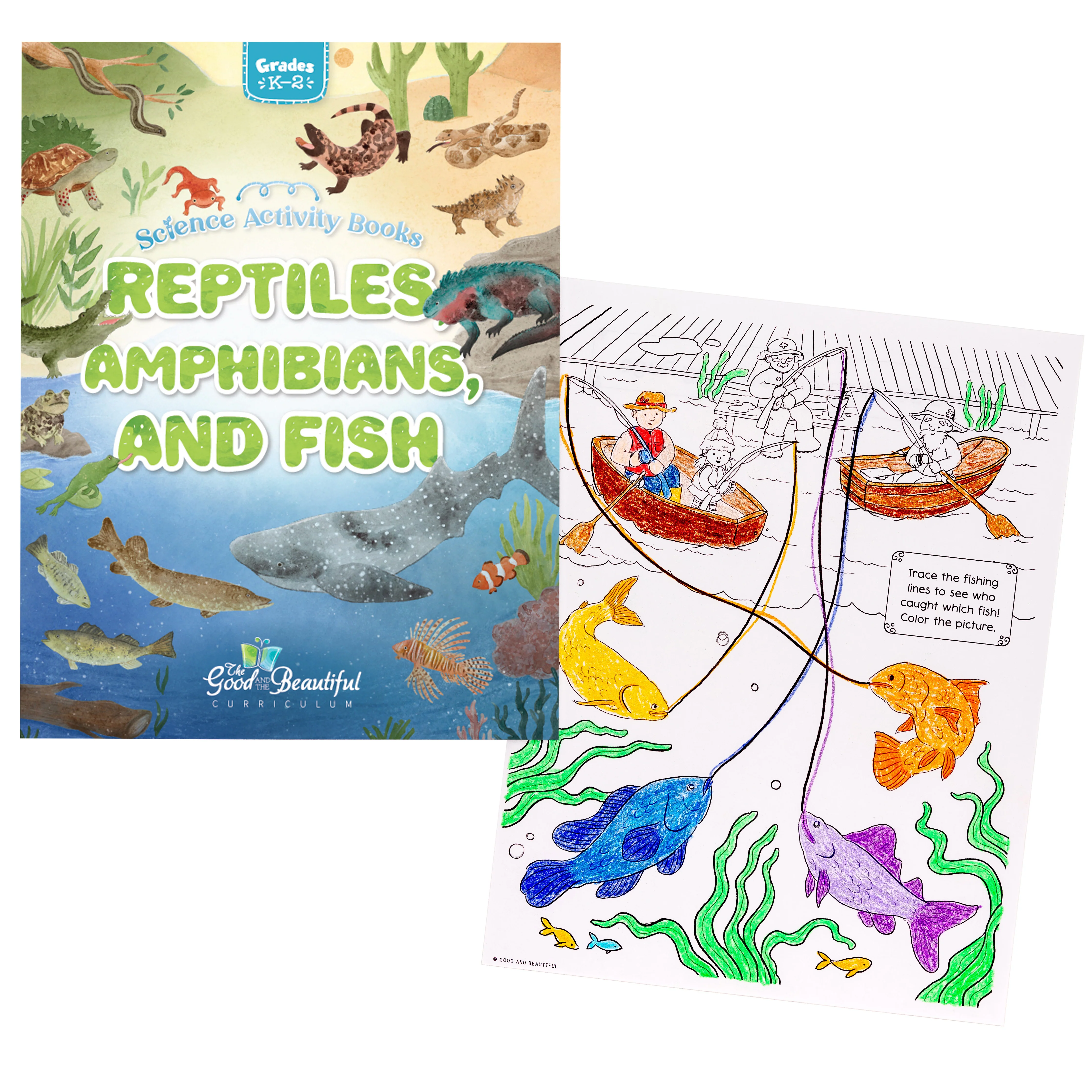 Reptiles, Amphibians, and Fish: Science Activity Book - Image 5