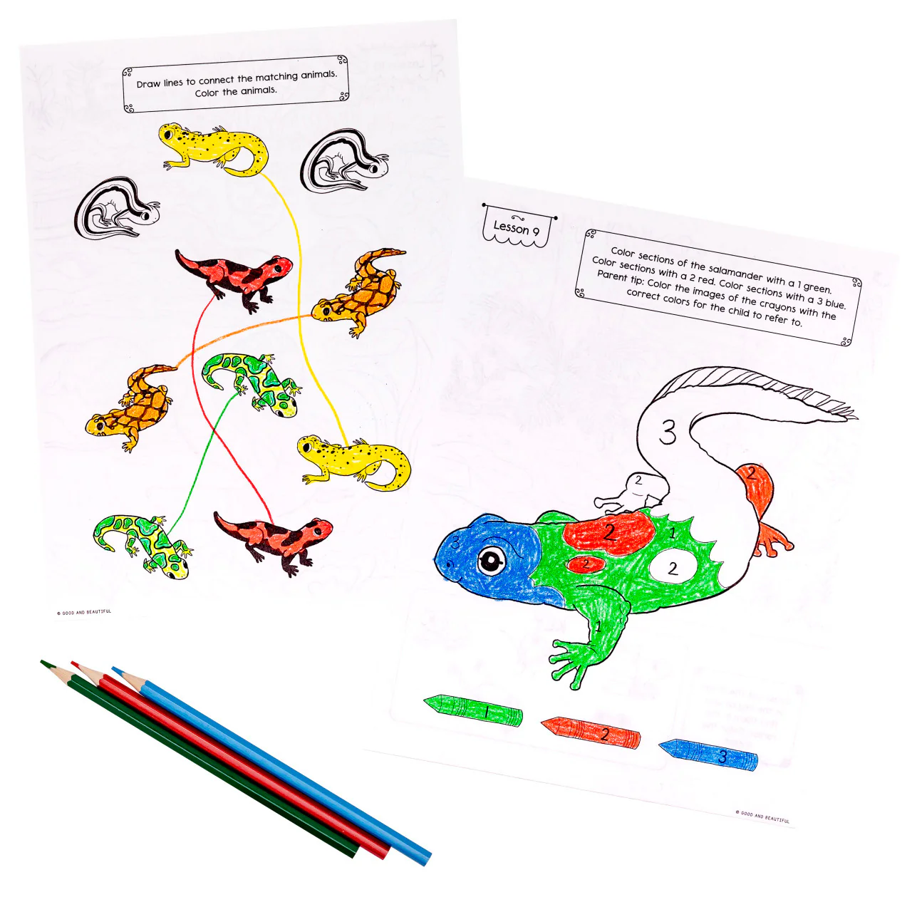 Reptiles, Amphibians, and Fish: Science Activity Book - Image 6