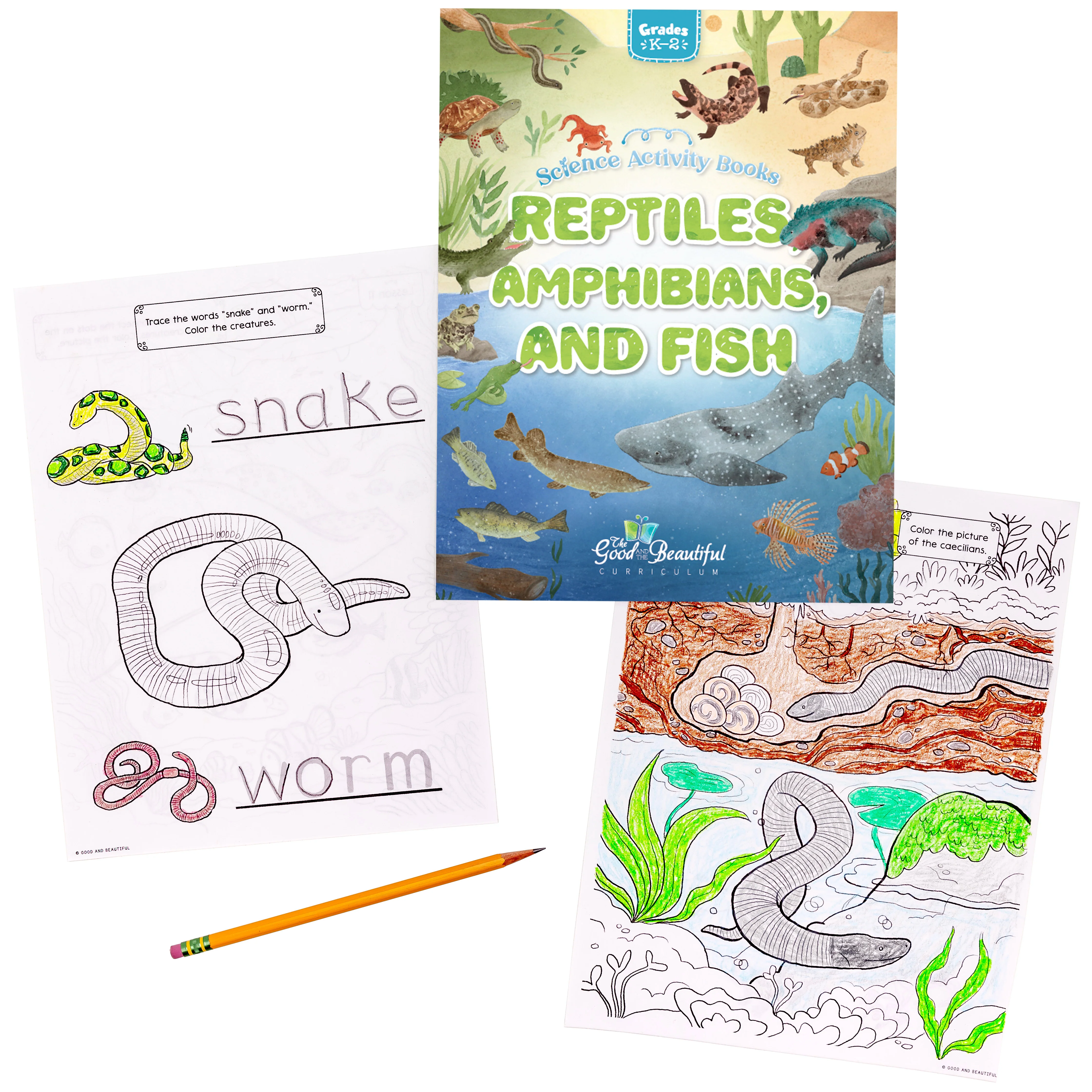 Reptiles, Amphibians, and Fish: Science Activity Book - Image 7