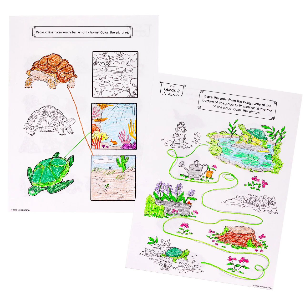 Reptiles, Amphibians, and Fish: Science Activity Book - Image 8