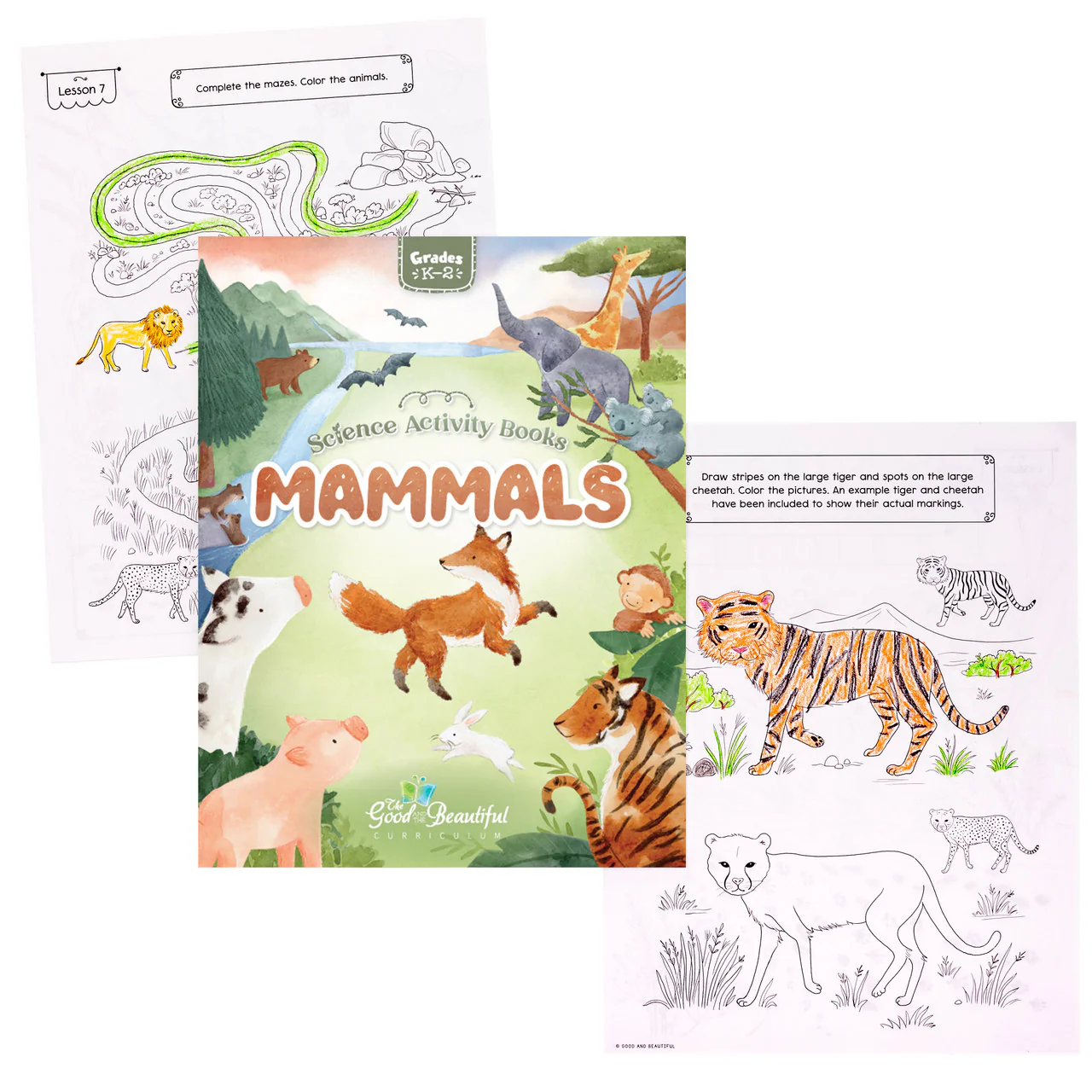 Science Activity Books - Image 10