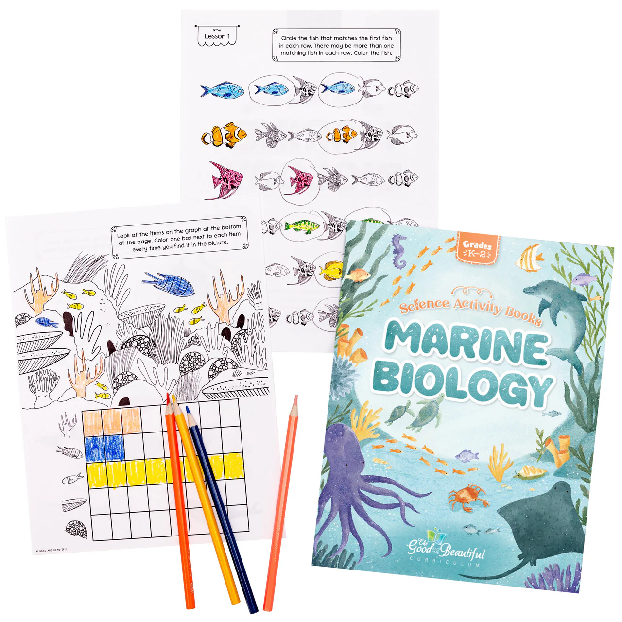 Science Activity Books - Image 11
