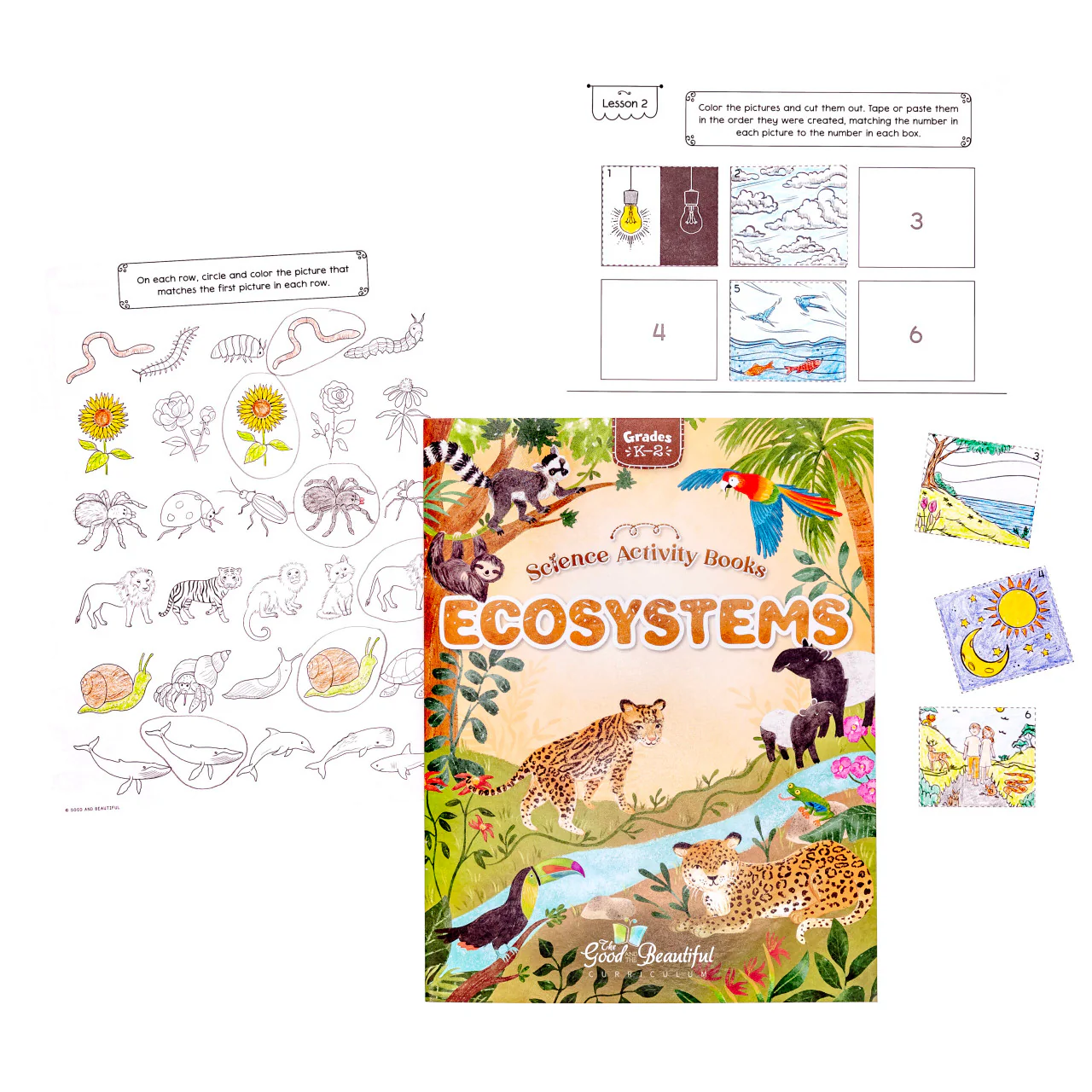 Science Activity Books - Image 5