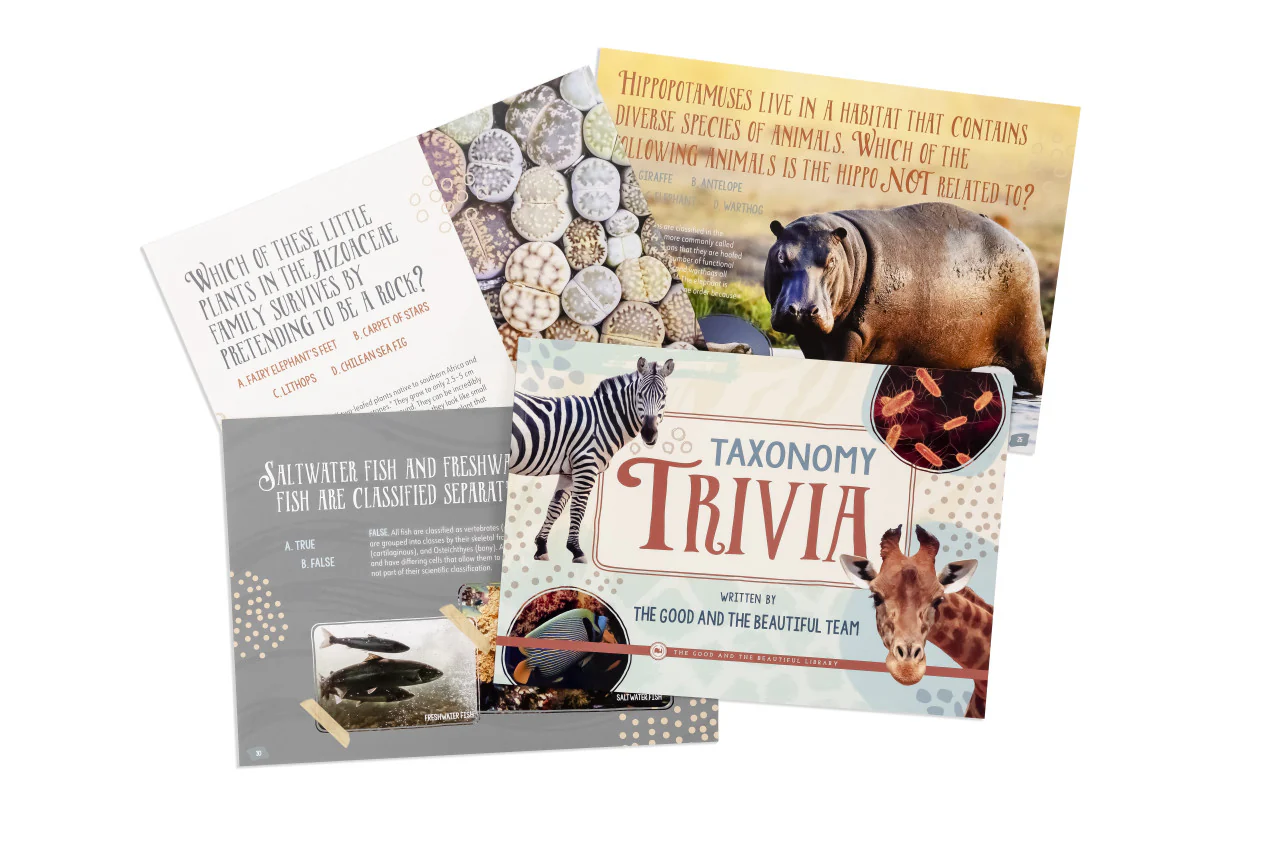 Taxonomy Trivia: by The Good and the Beautiful Team - Image 2