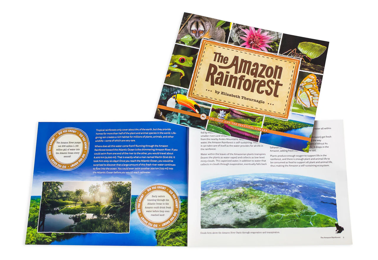 The Amazon Rainforest: by Elizabeth Thuernagle - Image 2