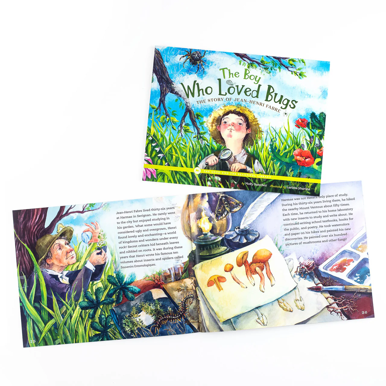 The Boy Who Loved Bugs - The Story of Jean-Henri Fabre: by Molly Sanchez - Image 3