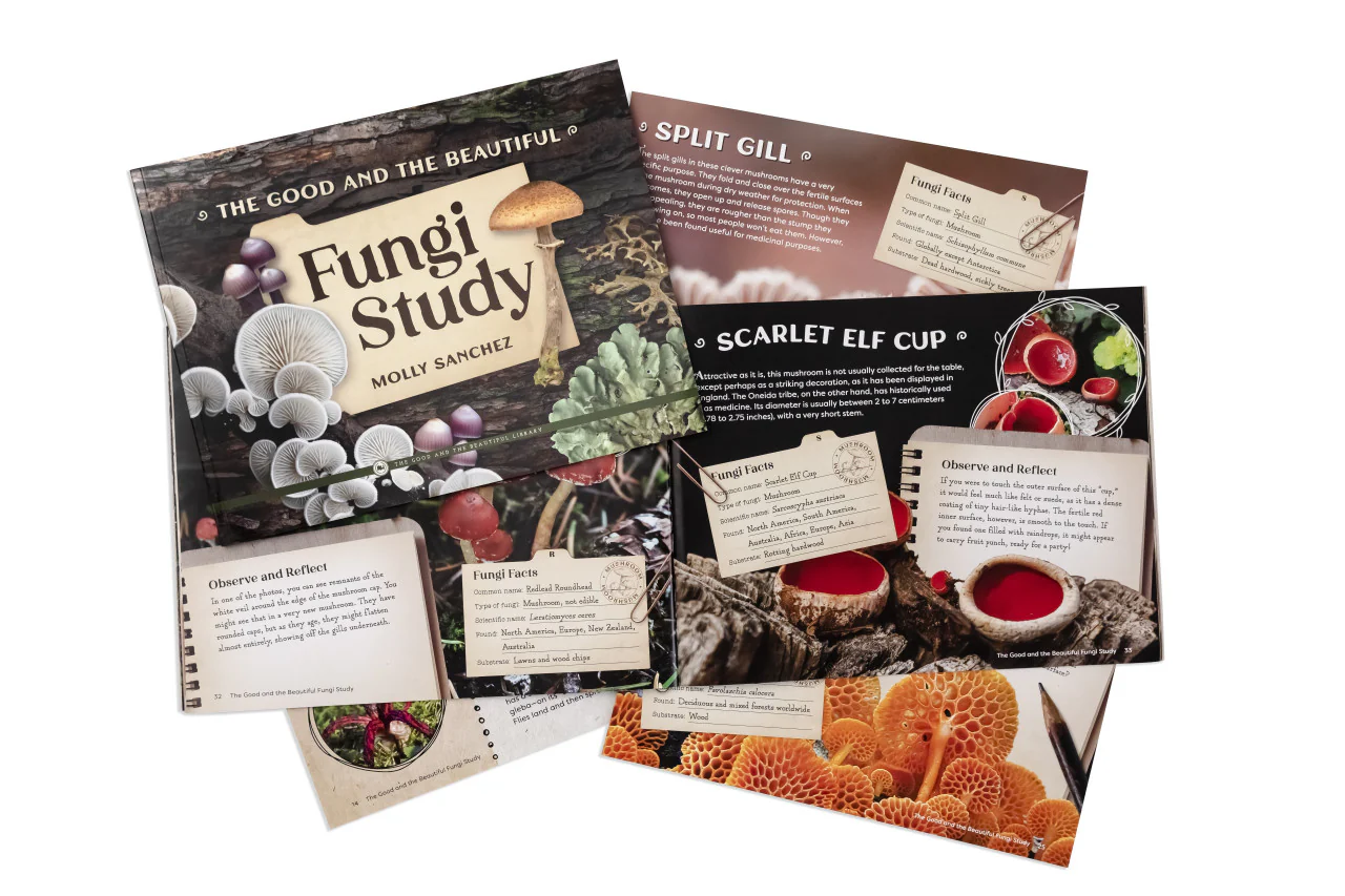The Good and the Beautiful Fungi Study: Kingdoms and Classification Grades 7-8 Extension - Image 3