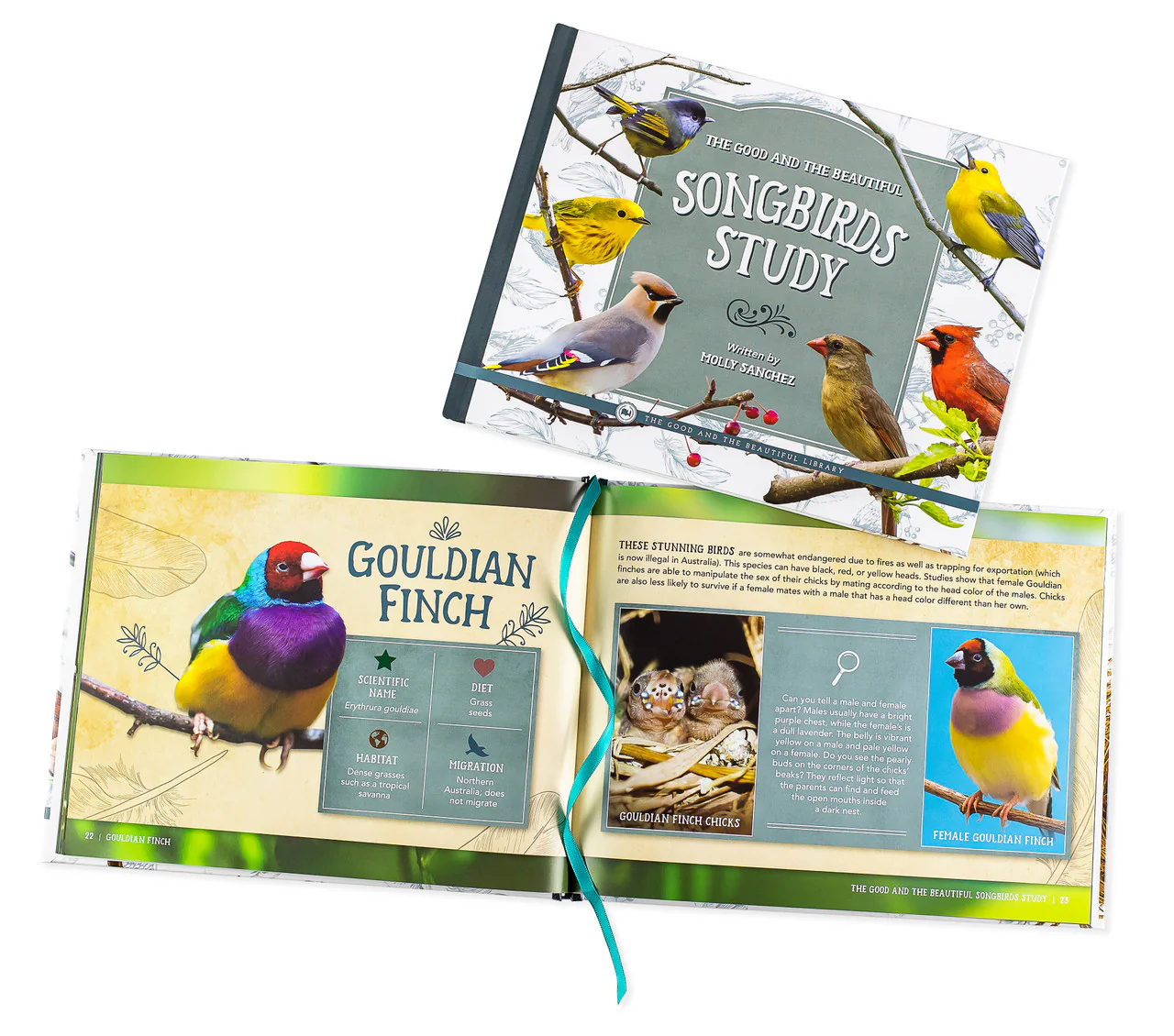 The Good and the Beautiful Songbirds Study Book: by Molly Taylor Sanchez - Image 2