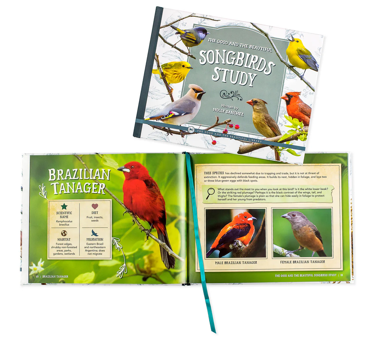 The Good and the Beautiful Songbirds Study Book: by Molly Taylor Sanchez - Image 3