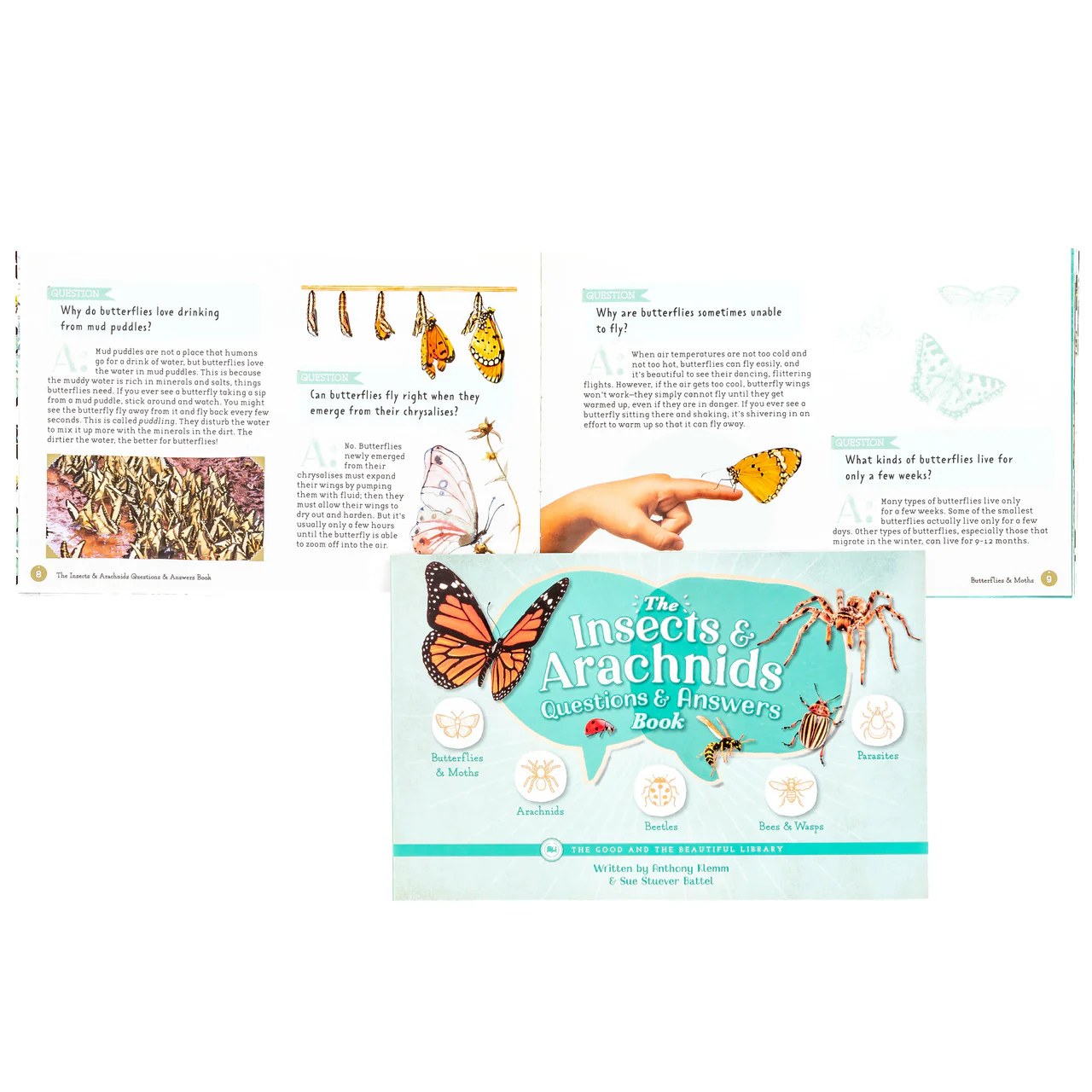 The Insects and Arachnids Questions & Answers Book: by Anthony Klemm and Sue Stuever Battel - Image 3