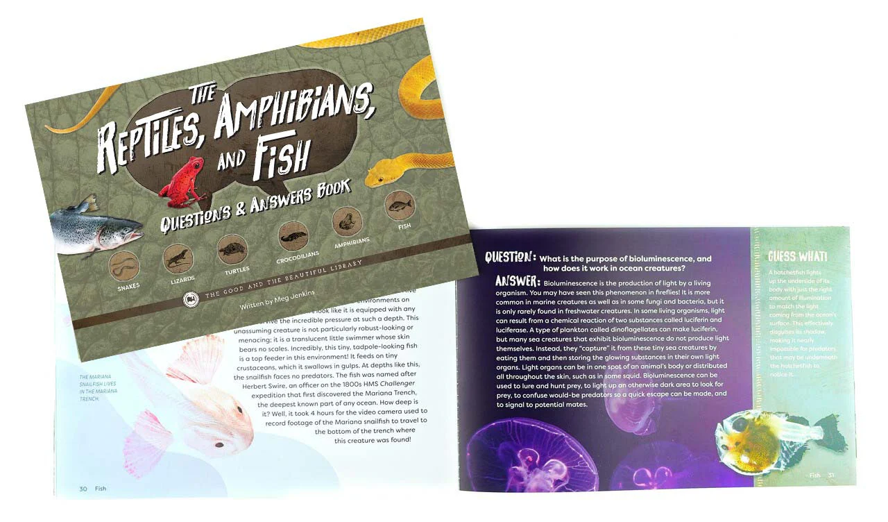 The Reptiles, Amphibians, and Fish Questions & Answers Book: Reptiles, Amphbians, and Fish Grades 7-8 Extension - Image 3