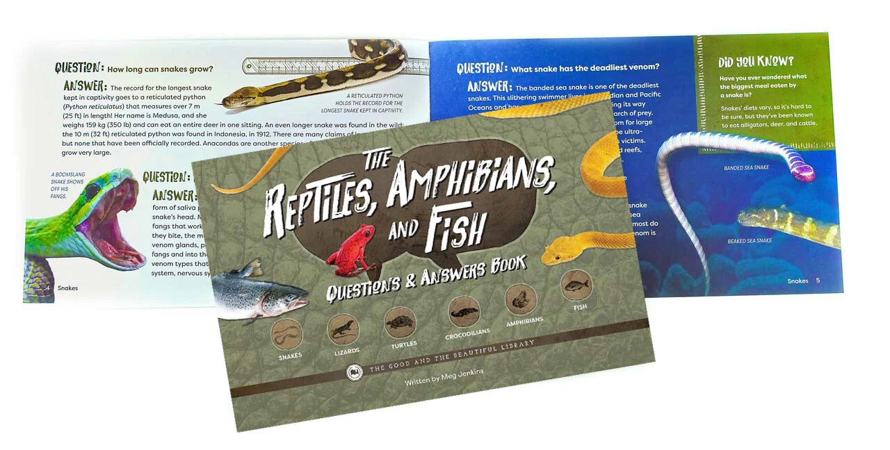 The Reptiles, Amphibians, and Fish Questions & Answers Book: Reptiles, Amphbians, and Fish Grades 7-8 Extension - Image 4