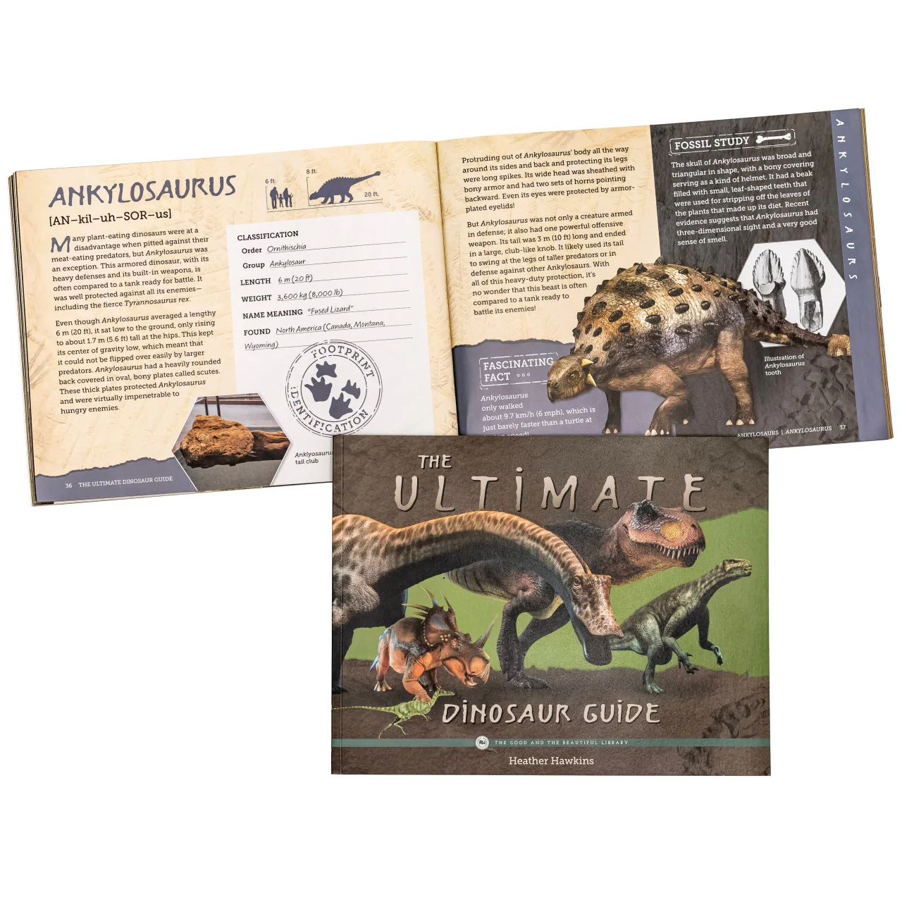 The Ultimate Dinosaur Guide: by Heather Hawkins - Image 2