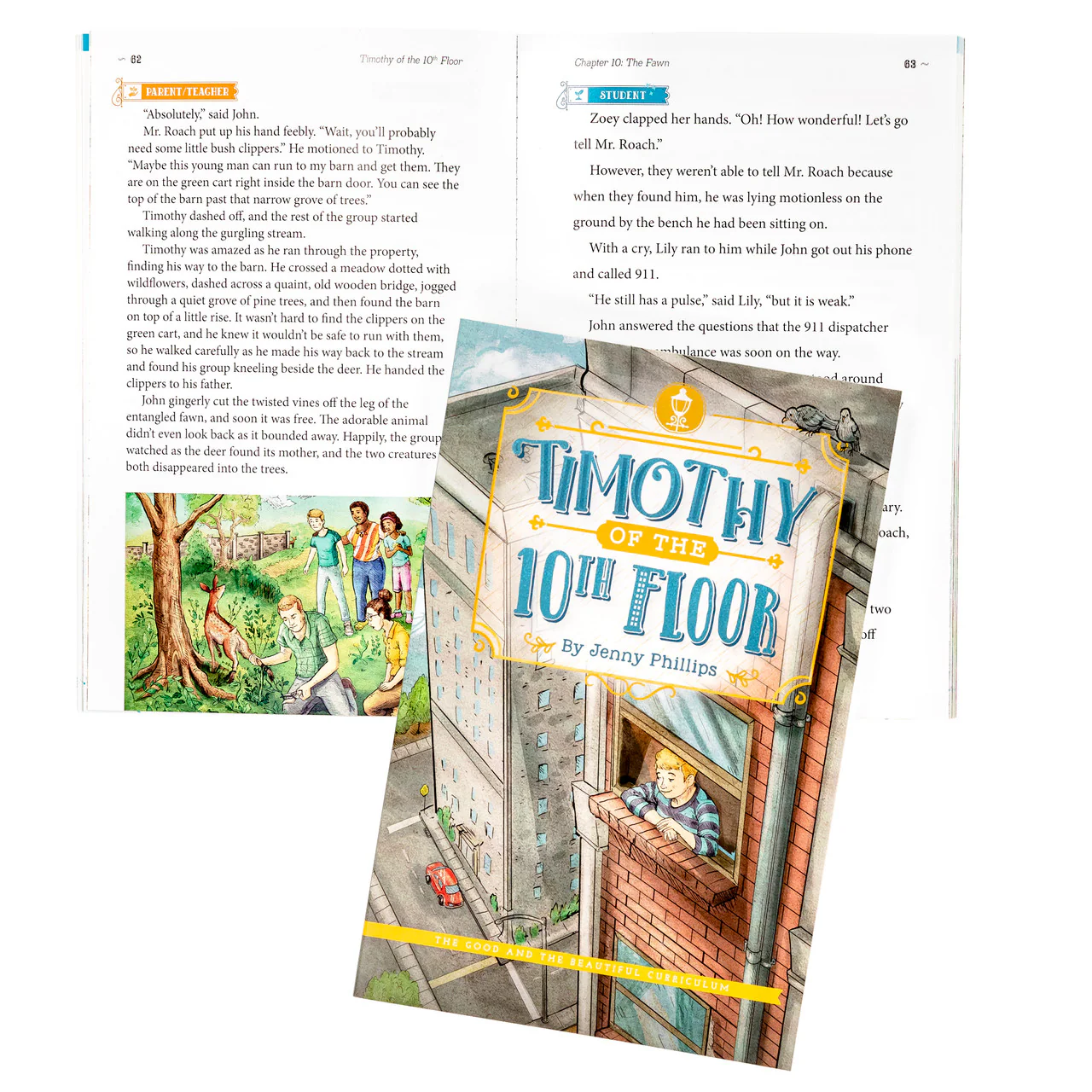 Timothy of the 10th Floor: by Jenny Phillips - Image 2