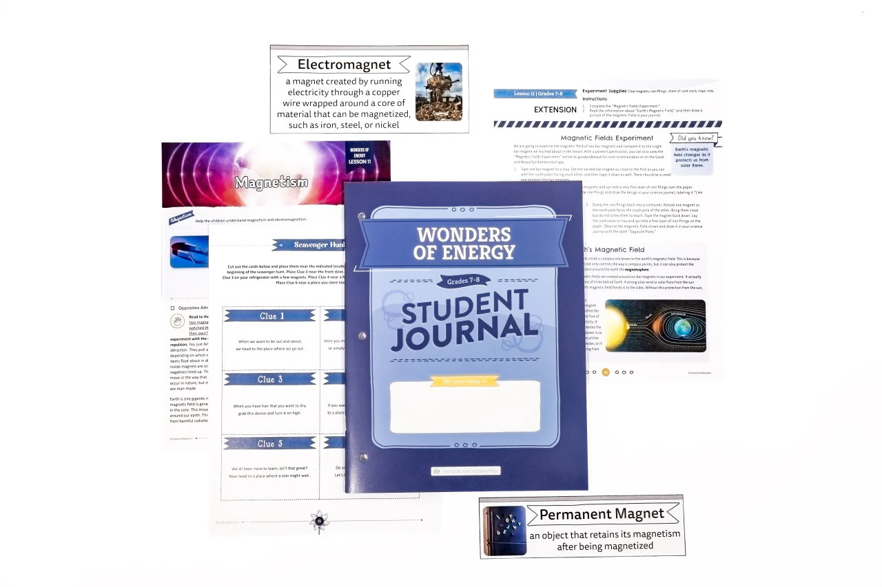Wonders of Energy: Course Book: One Per Family - Image 11